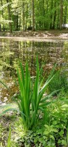 Pat 03 - Goedemorgen